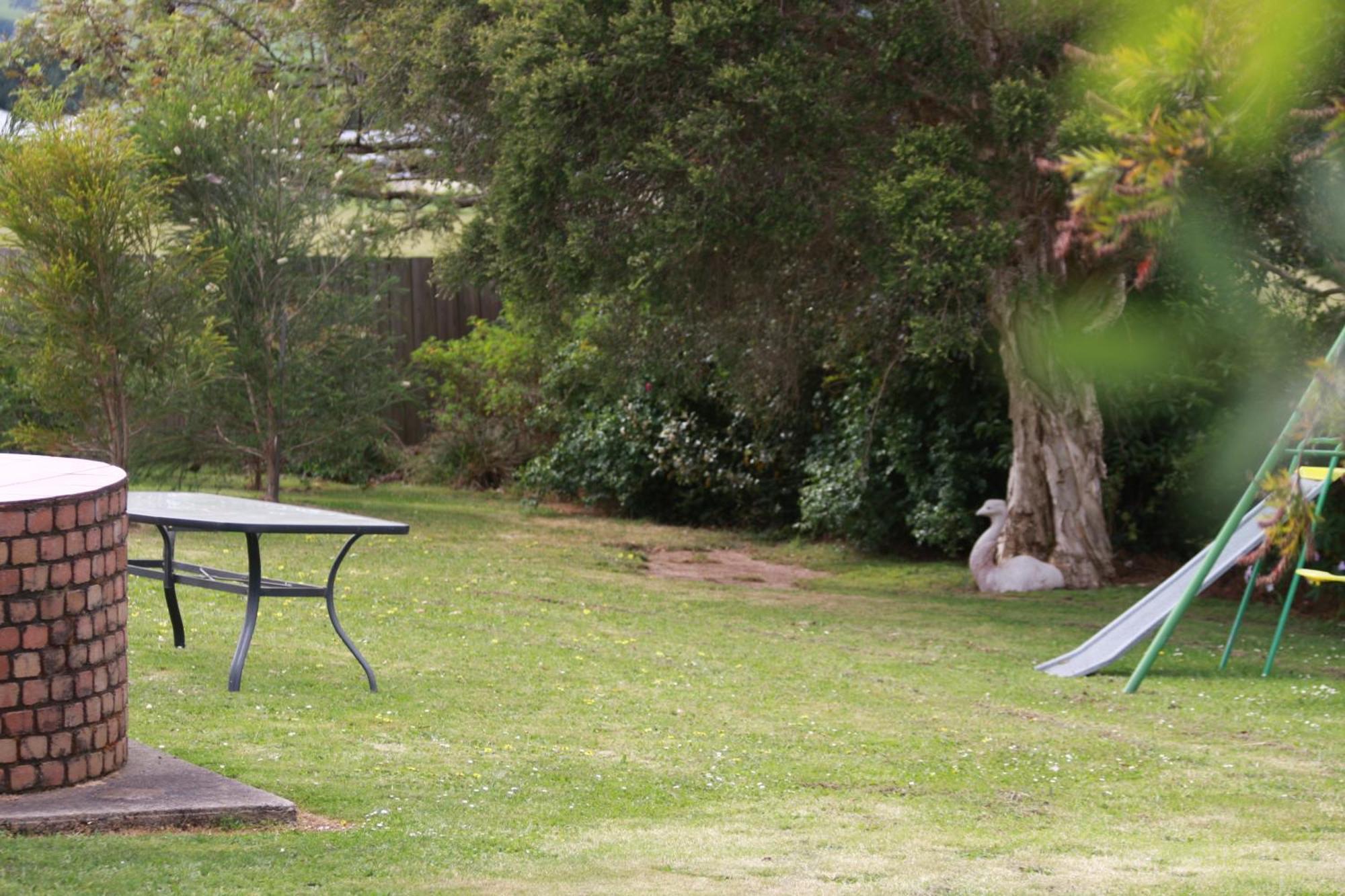 Leongatha Opal Motel מראה חיצוני תמונה