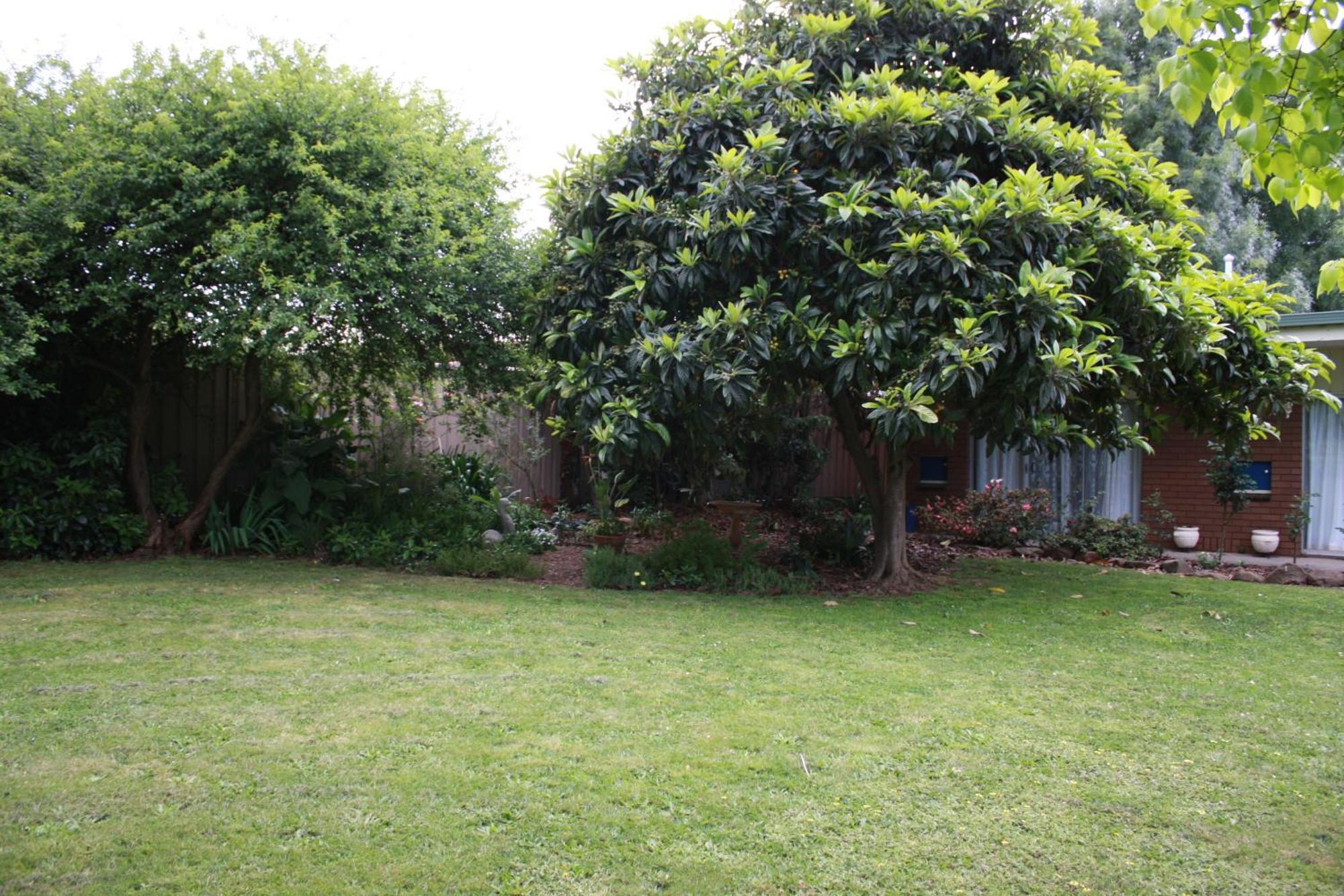 Leongatha Opal Motel מראה חיצוני תמונה
